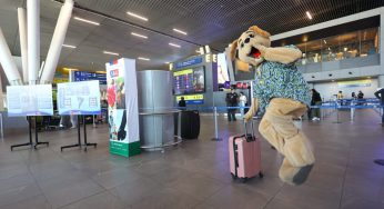 SAG lanza chatbot con inteligencia artificial para orientar a quienes salen con sus mascotas fuera de Chile