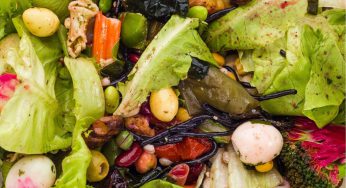 Advierten que desperdicios de alimentos potencian el cambio climático