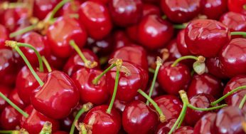 Precio de cerezas podría bajar en Chile luego del colapso de su valor en China