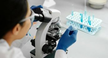 UST se adjudica 5 proyectos Fondecyt de Iniciación en Investigación