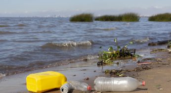 El verano y la contaminación: 1,7 millones de toneladas de residuos afectan a playas y océanos en Chile