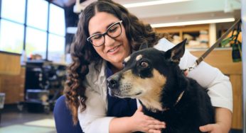 Zoetis aumenta voluntariado global y en Chile proyecta 600 operativos gratuitos para mascotas en 2025
