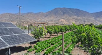 Agricultores se capacitan para optimizar el rendimiento de sus paneles fotovoltaicos