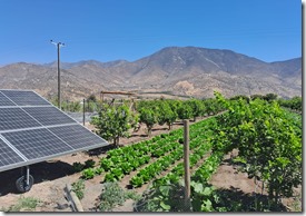 Riego frutales  con energía votovoltaica   q
