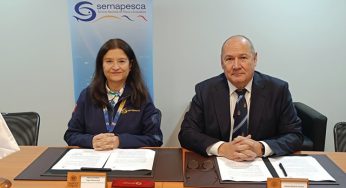 Universidad Santo Tomás y SERNAPESCA firman convenio para fortalecer la formación e investigación de la fauna marina
