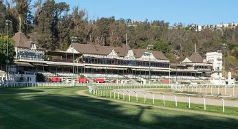 Jinete fallece tras ser aplastado por un caballo en el Sporting de Viña del Mar