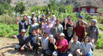 Biodiversidad: el valor de polinizadores, enemigos naturales y bandas florales en los agroecosistemas