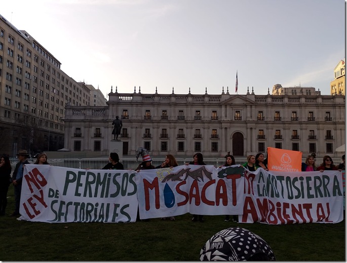 manifestación stgo 3