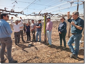 Día de campo uva de mesa (15)