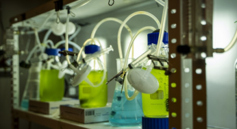 Consorcios de microalgas y bacterias: innovación biotecnológica para la recuperación del agua