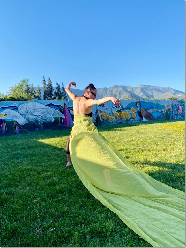 _Eclipse_ de Javiera Walker Alarcón