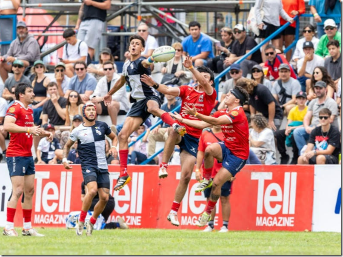 Captura de pantalla 2026-01-07 153940