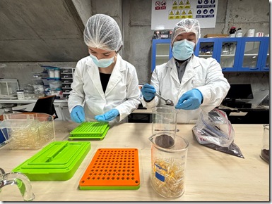 Lab química y farmacia (3)