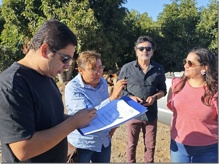 OUA EN TERRENO 2