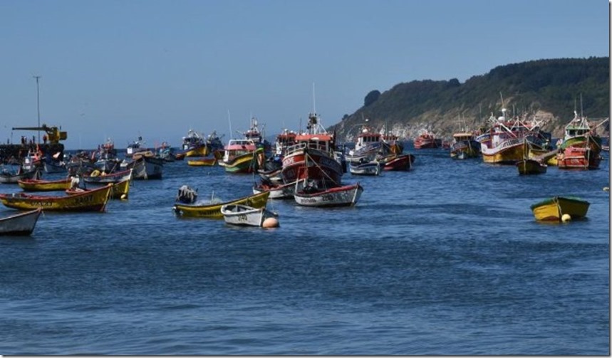 PescaRegiondeValparaiso-1024x597