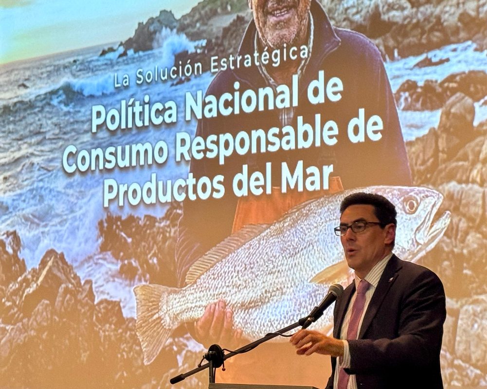 Variedad de pescados y mariscos frescos en un mercado chileno para promover su consumo nacional.