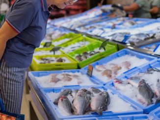 Variedad de pescados y mariscos frescos en un mercado chileno para promover su consumo nacional.