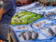 Variedad de pescados y mariscos frescos en un mercado chileno para promover su consumo nacional.
