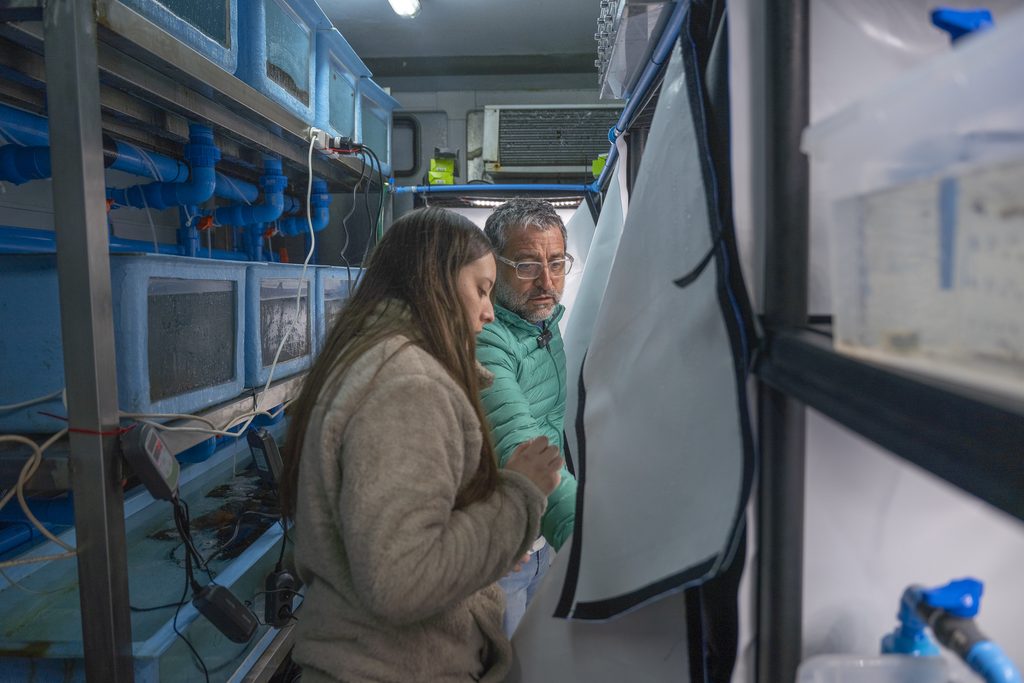 Investigadores científicos realizando experimentos con mesocosmos en el estrecho de Magallanes