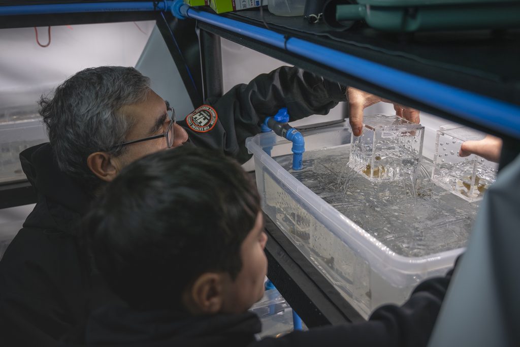 Investigadores científicos realizando experimentos con mesocosmos en el estrecho de Magallanes