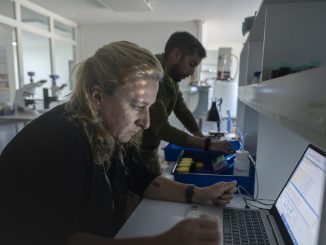 Investigadores científicos realizando experimentos con mesocosmos en el estrecho de Magallanes