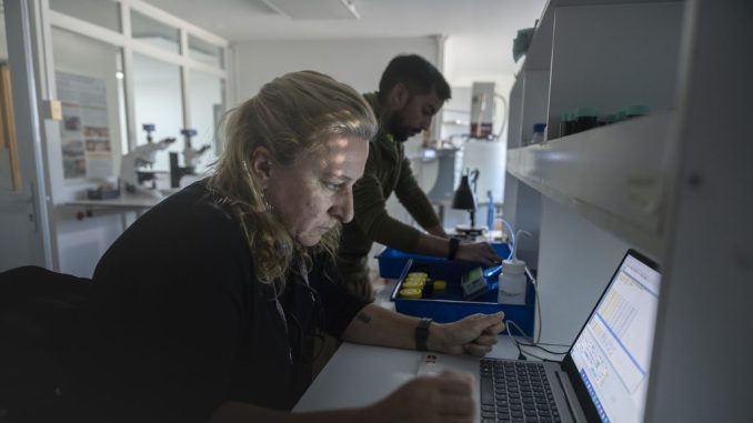 Investigadores científicos realizando experimentos con mesocosmos en el estrecho de Magallanes