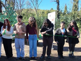 Pabellón 30 construido por estudiantes de arquitectura de la USM en el Jardín Botánico de Viña del Mar.