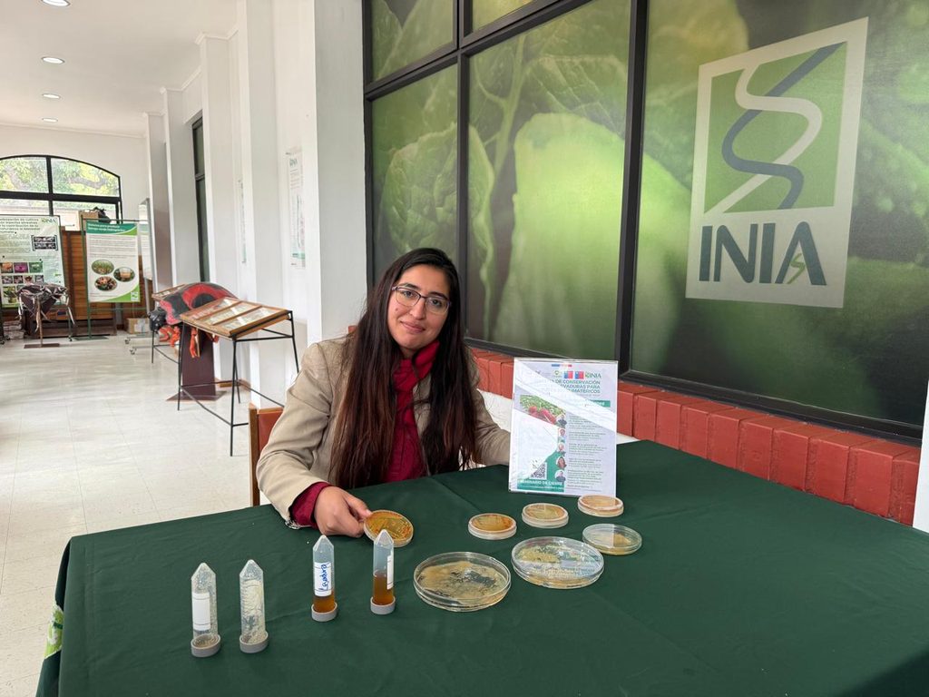 Investigadores analizando el uso de levaduras genéticamente mejoradas para preservar la frescura de las frutillas.