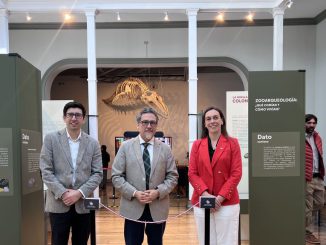 Piezas arqueológicas y vestigios hallados en la Ruta F-20 expuestos en el Museo de Historia Natural de Valparaíso