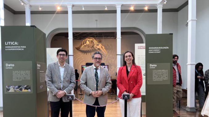 Piezas arqueológicas y vestigios hallados en la Ruta F-20 expuestos en el Museo de Historia Natural de Valparaíso