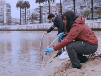 Investigadores analizando muestras de agua en un estuario para estudiar la presencia de microplásticos