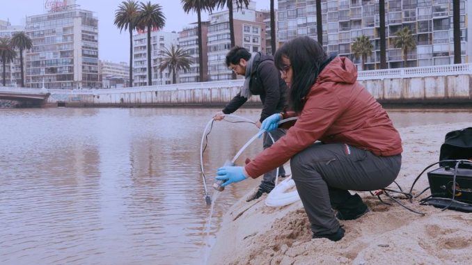 Investigadores analizando muestras de agua en un estuario para estudiar la presencia de microplásticos