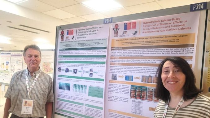 Investigadores del USM Bee Lab presentan su método de purificación de cera de abejas en el congreso EurBee 11