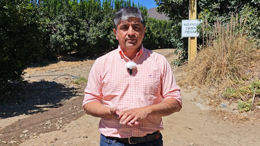 Sistema moderno de riego automatizado con sensores de humedad y válvulas controladas remotamente en huerto de paltos