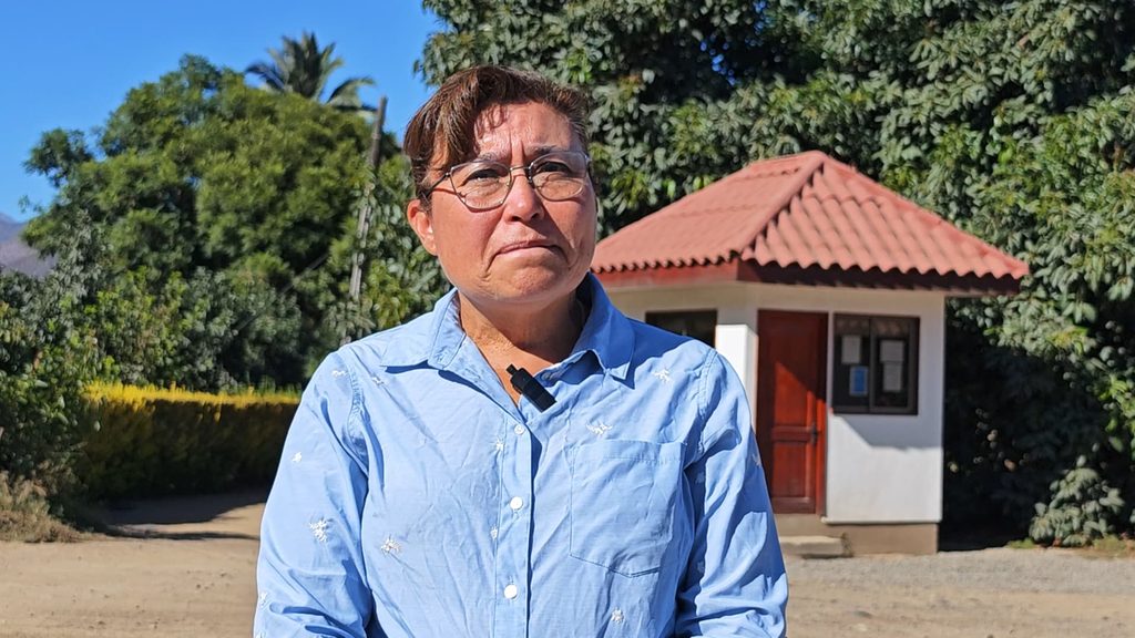 Sistema moderno de riego automatizado con sensores de humedad y válvulas controladas remotamente en huerto de paltos