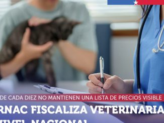 Fiscalizacion del Sernac a clinicas veterinarias y centros de atencion de mascotas en Chile