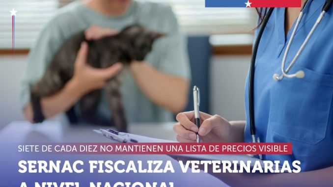 Fiscalizacion del Sernac a clinicas veterinarias y centros de atencion de mascotas en Chile