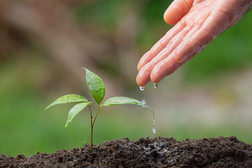 Agricultores y expertos participando en el seminario sobre herramientas para la adaptación climática en Quillota
