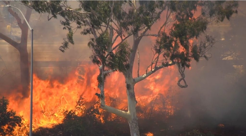 Investigadores de la USM analizan los efectos de la radiación térmica de los incendios forestales en las viviendas.
