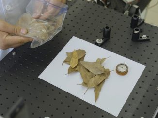 Investigadores de la USM analizan los efectos de la radiación térmica de los incendios forestales en las viviendas.