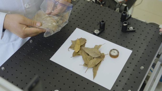 Investigadores de la USM analizan los efectos de la radiación térmica de los incendios forestales en las viviendas.